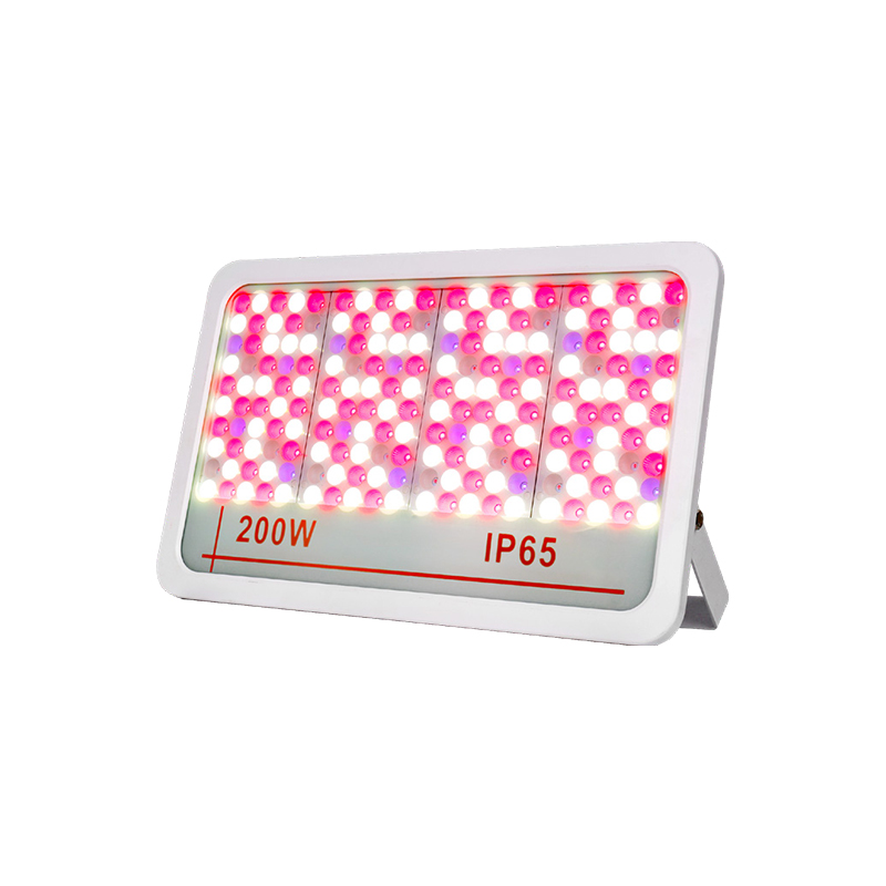 LED 홍수 빛